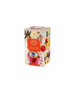 Ministry of tea organic caribbean ginger spice infusion bio tea 35 g