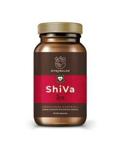 Myrobalan shiva vérnyomáscsökkentő gyógynövény-komplex vegán kapszula 60 db