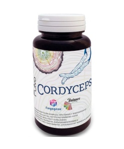 Freyagena Cordyceps Fulvo kapszula 60 db