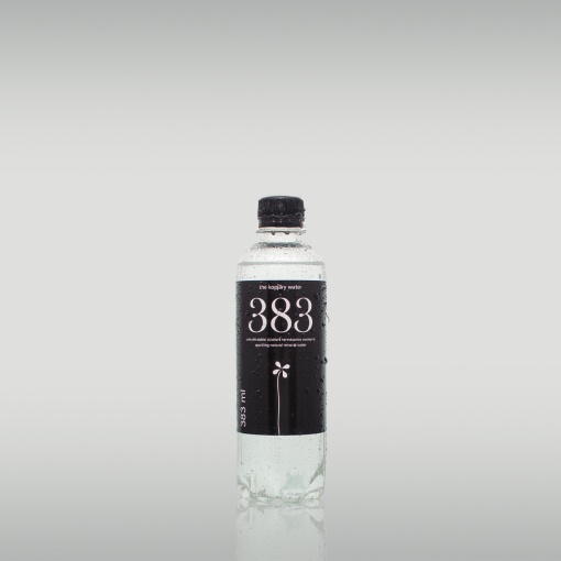 383 the kopjary water szén-dioxiddal dúsított ásványvíz 383 ml