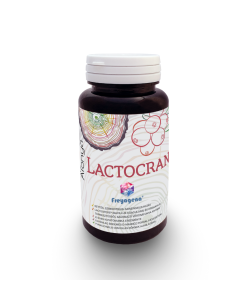 Freyagena Áfonya LACTOCRAN kapszula 60 db